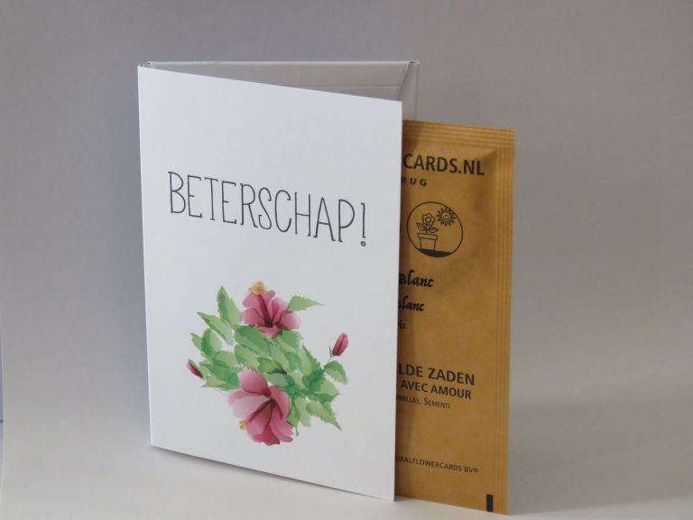 Beterschap