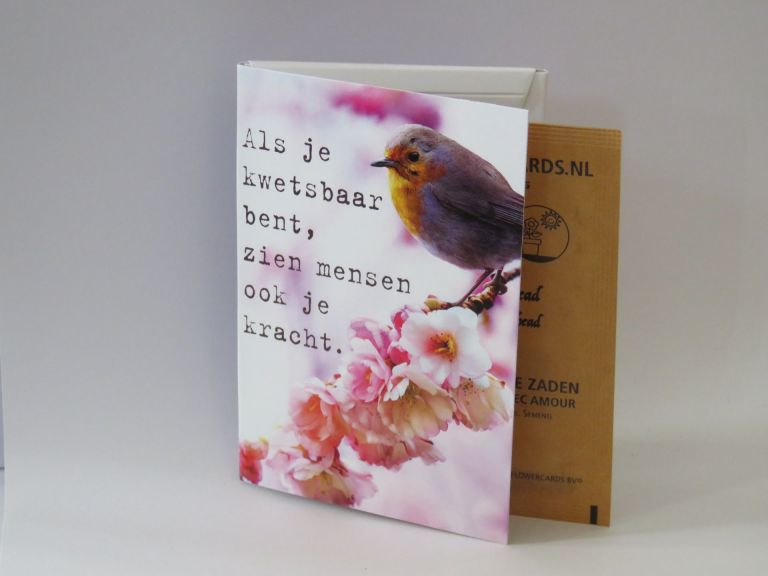 Sterkte