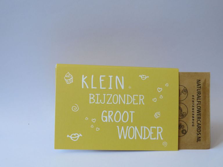 Geboorte/Zwanger